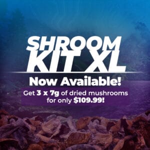 Shrooms Kit XL