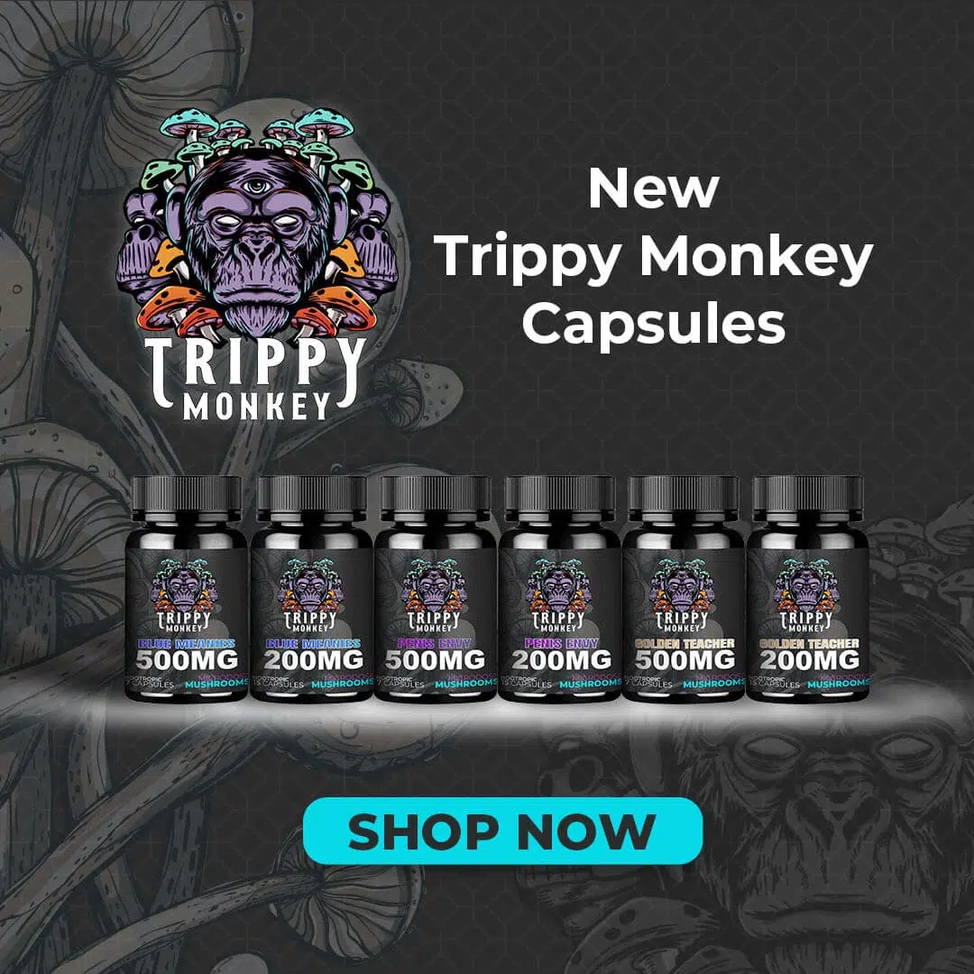 Trippy Monkey Capsule Banner 1080x1080 1