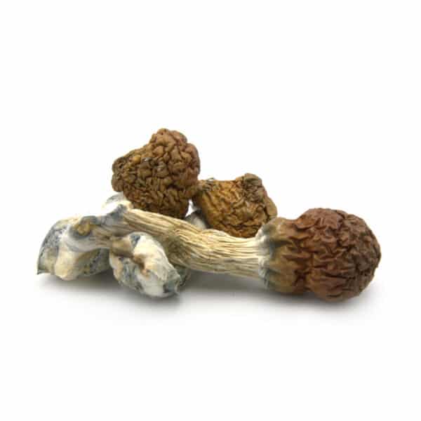 Texas Yellow Cap
