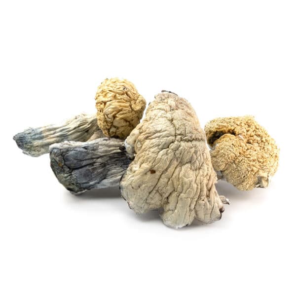 Amazonian Cubensis