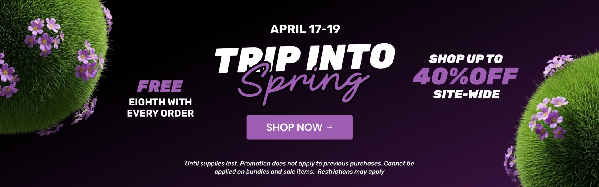 Trip Into Spring Sale Banner